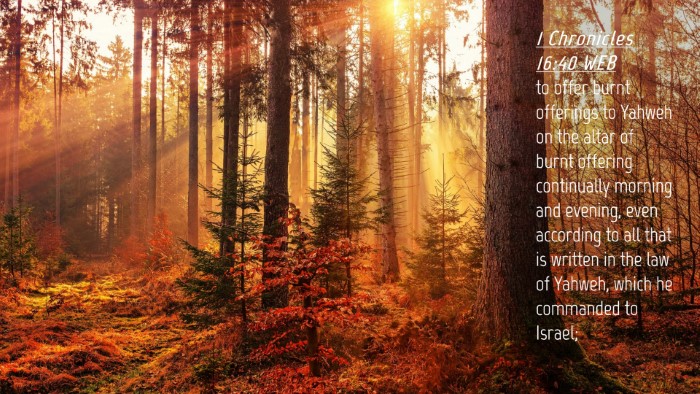 Picture 04 - 1 Chronicles 16:40 WEB Desktop Wallpaper - to offer burnt offerings to Yahweh on the altar - Desktop Bible Verse Wallpaper