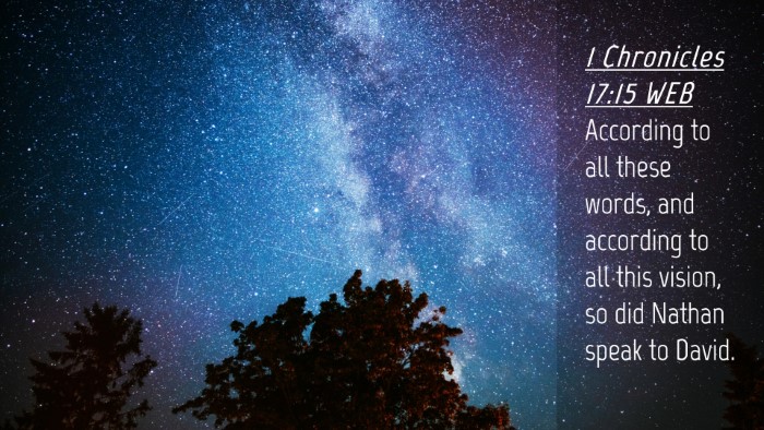 Picture 04 - 1 Chronicles 17:15 WEB Desktop Wallpaper - According to all these words, and according to - Desktop Bible Verse Wallpaper