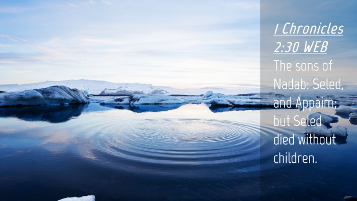 Picture 04 - 1 Chronicles 2:30 WEB Desktop Wallpaper - The sons of Nadab: Seled, and Appaim; but Seled - Desktop Bible Verse Wallpaper