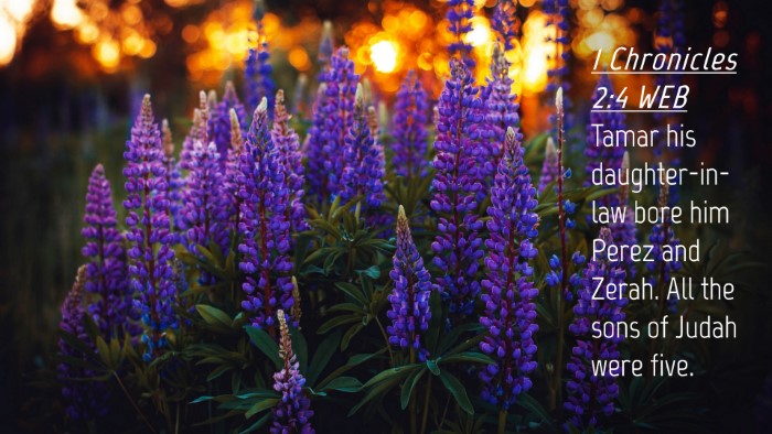 Picture 04 - 1 Chronicles 2:4 WEB Desktop Wallpaper - Tamar his daughter-in-law bore him Perez and - Desktop Bible Verse Wallpaper