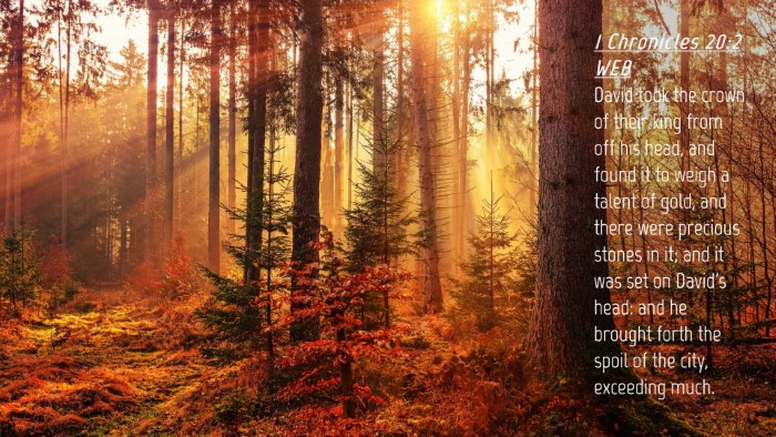 Picture 04 - 1 Chronicles 20:2 WEB Desktop Wallpaper - David took the crown of their king from off his - Desktop Bible Verse Wallpaper
