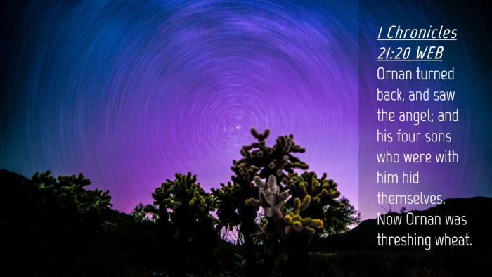 Picture 04 - 1 Chronicles 21:20 WEB Desktop Wallpaper - Ornan turned back, and saw the angel; and his - Desktop Bible Verse Wallpaper