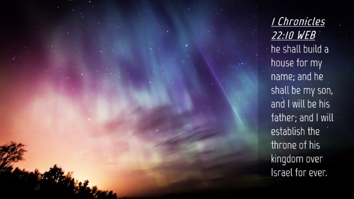 Picture 04 - 1 Chronicles 22:10 WEB Desktop Wallpaper - he shall build a house for my name; and he shall - Desktop Bible Verse Wallpaper