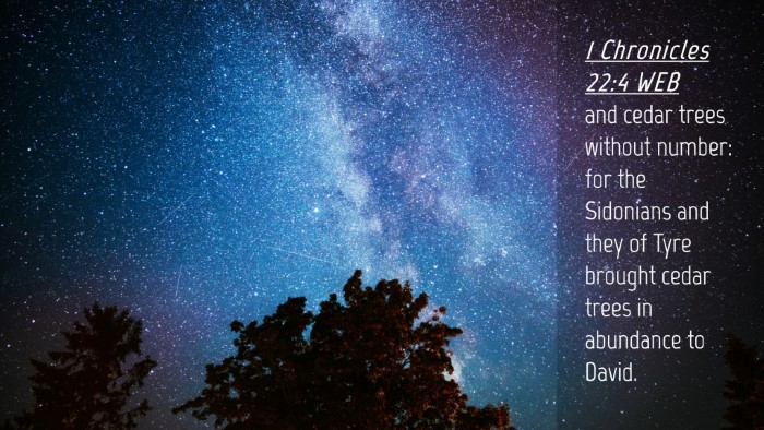 Picture 04 - 1 Chronicles 22:4 WEB Desktop Wallpaper - and cedar trees without number: for the Sidonians - Desktop Bible Verse Wallpaper