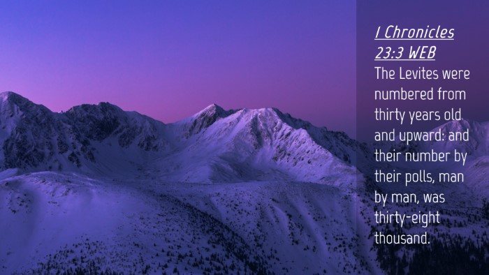 Picture 04 - 1 Chronicles 23:3 WEB Desktop Wallpaper - The Levites were numbered from thirty years old - Desktop Bible Verse Wallpaper