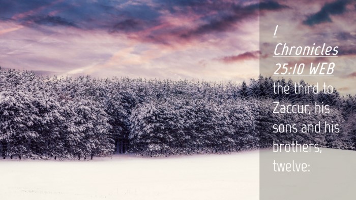 Picture 04 - 1 Chronicles 25:10 WEB Desktop Wallpaper - the third to Zaccur, his sons and his brothers, - Desktop Bible Verse Wallpaper