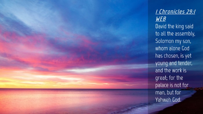 Picture 04 - 1 Chronicles 29:1 WEB Desktop Wallpaper - David the king said to all the assembly, Solomon - Desktop Bible Verse Wallpaper