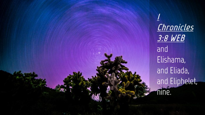 Picture 04 - 1 Chronicles 3:8 WEB Desktop Wallpaper - and Elishama, and Eliada, and Eliphelet, - Desktop Bible Verse Wallpaper