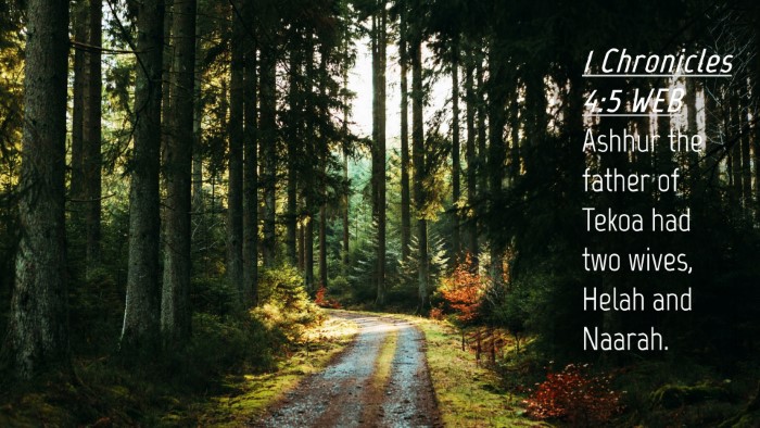 Picture 04 - 1 Chronicles 4:5 WEB Desktop Wallpaper - Ashhur the father of Tekoa had two wives, Helah - Desktop Bible Verse Wallpaper