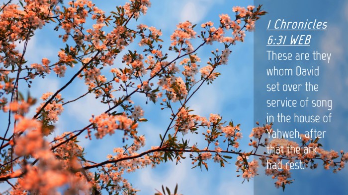 Picture 04 - 1 Chronicles 6:31 WEB Desktop Wallpaper - These are they whom David set over the service of - Desktop Bible Verse Wallpaper