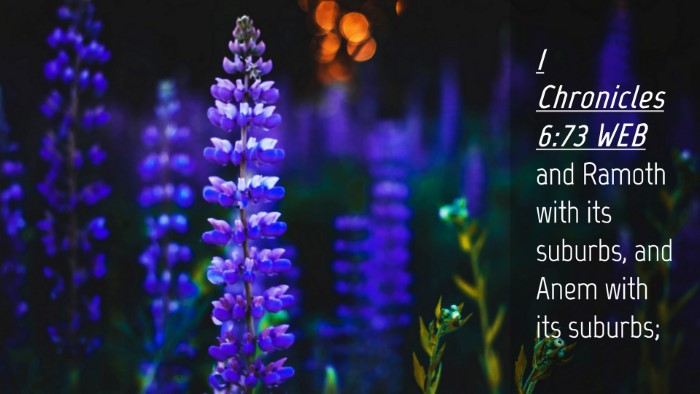 Picture 04 - 1 Chronicles 6:73 WEB Desktop Wallpaper - and Ramoth with its suburbs, and Anem with its - Desktop Bible Verse Wallpaper