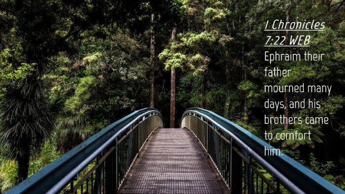 Picture 04 - 1 Chronicles 7:22 WEB Desktop Wallpaper - Ephraim their father mourned many days, and his - Desktop Bible Verse Wallpaper