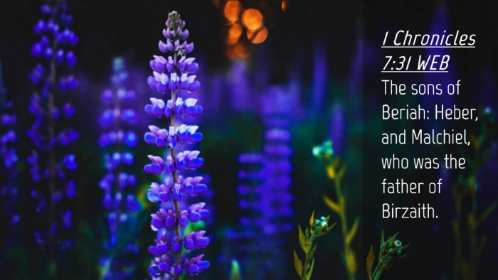Picture 04 - 1 Chronicles 7:31 WEB Desktop Wallpaper - The sons of Beriah: Heber, and Malchiel, who was - Desktop Bible Verse Wallpaper