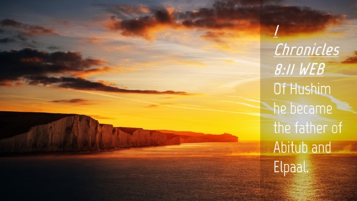 Picture 04 - 1 Chronicles 8:11 WEB Desktop Wallpaper - Of Hushim he became the father of Abitub and - Desktop Bible Verse Wallpaper