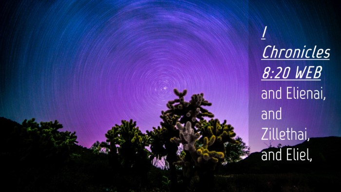 Picture 04 - 1 Chronicles 8:20 WEB Desktop Wallpaper - and Elienai, and Zillethai, and - Desktop Bible Verse Wallpaper