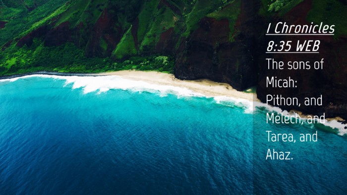 Picture 04 - 1 Chronicles 8:35 WEB Desktop Wallpaper - The sons of Micah: Pithon, and Melech, and Tarea, - Desktop Bible Verse Wallpaper