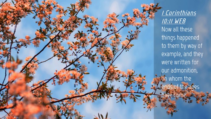 Picture 04 - 1 Corinthians 10:11 WEB Desktop Wallpaper - Now all these things happened to them by way of - Desktop Bible Verse Wallpaper