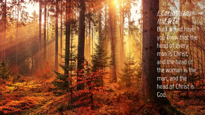 Picture 04 - 1 Corinthians 11:3 WEB Desktop Wallpaper - But I would have you know that the head of every - Desktop Bible Verse Wallpaper