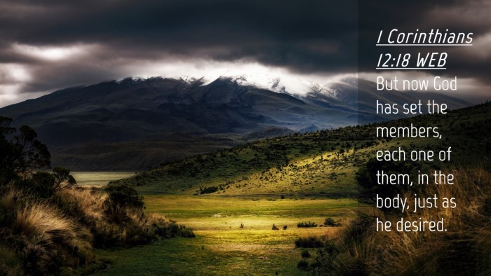 Picture 04 - 1 Corinthians 12:18 WEB Desktop Wallpaper - But now God has set the members, each one of - Desktop Bible Verse Wallpaper