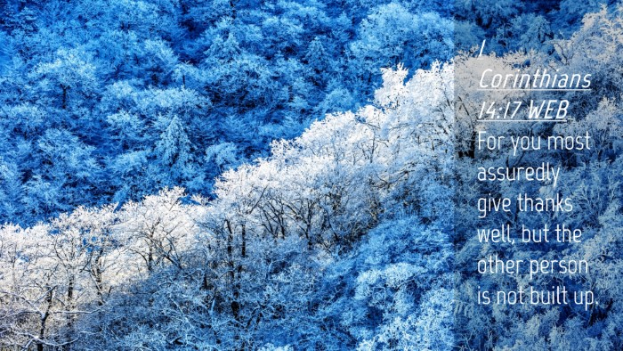 Picture 04 - 1 Corinthians 14:17 WEB Desktop Wallpaper - For you most assuredly give thanks well, but the - Desktop Bible Verse Wallpaper