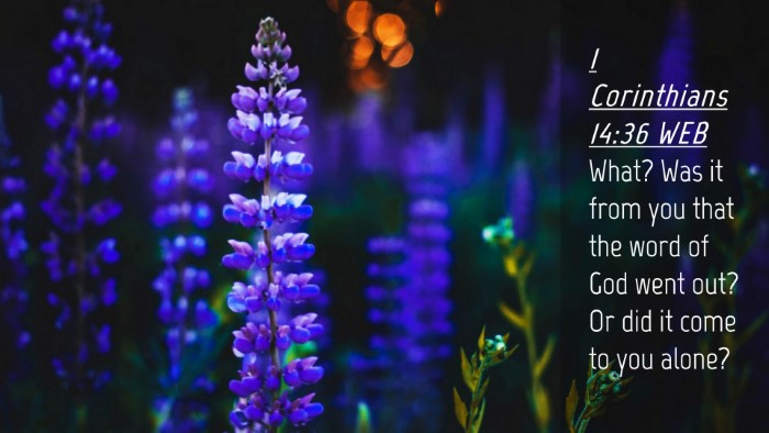 Picture 04 - 1 Corinthians 14:36 WEB Desktop Wallpaper - What? Was it from you that the word of God went - Desktop Bible Verse Wallpaper