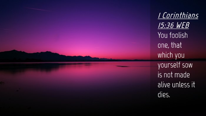Picture 04 - 1 Corinthians 15:36 WEB Desktop Wallpaper - You foolish one, that which you yourself sow is - Desktop Bible Verse Wallpaper
