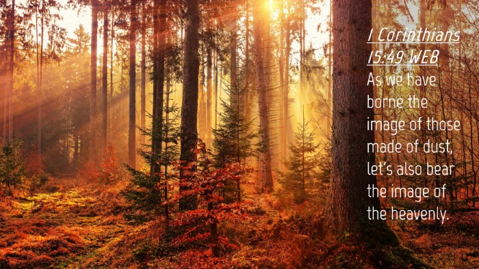 Picture 04 - 1 Corinthians 15:49 WEB Desktop Wallpaper - As we have borne the image of those made of dust, - Desktop Bible Verse Wallpaper