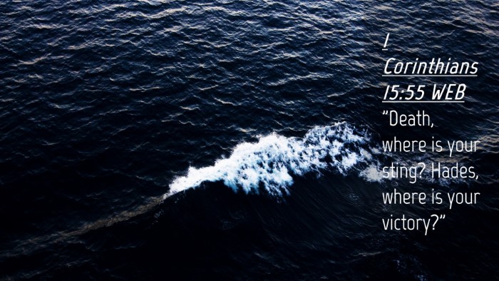 Picture 04 - 1 Corinthians 15:55 WEB Desktop Wallpaper - 