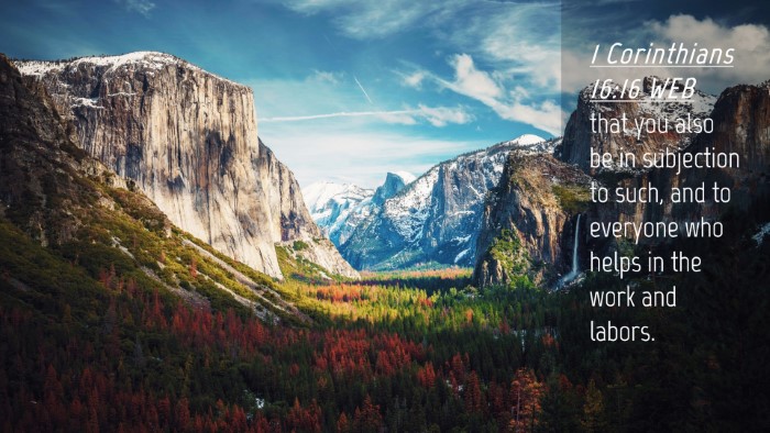 Picture 04 - 1 Corinthians 16:16 WEB Desktop Wallpaper - that you also be in subjection to such, and to - Desktop Bible Verse Wallpaper