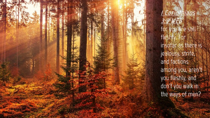 Picture 04 - 1 Corinthians 3:3 WEB Desktop Wallpaper - for you are still fleshly. For insofar as there - Desktop Bible Verse Wallpaper