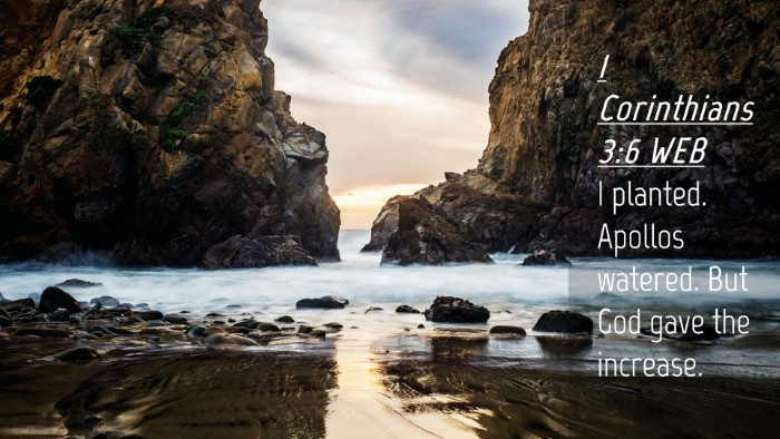 Picture 04 - 1 Corinthians 3:6 WEB Desktop Wallpaper - I planted. Apollos watered. But God gave the - Desktop Bible Verse Wallpaper