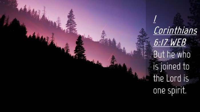 Picture 04 - 1 Corinthians 6:17 WEB Desktop Wallpaper - But he who is joined to the Lord is one - Desktop Bible Verse Wallpaper