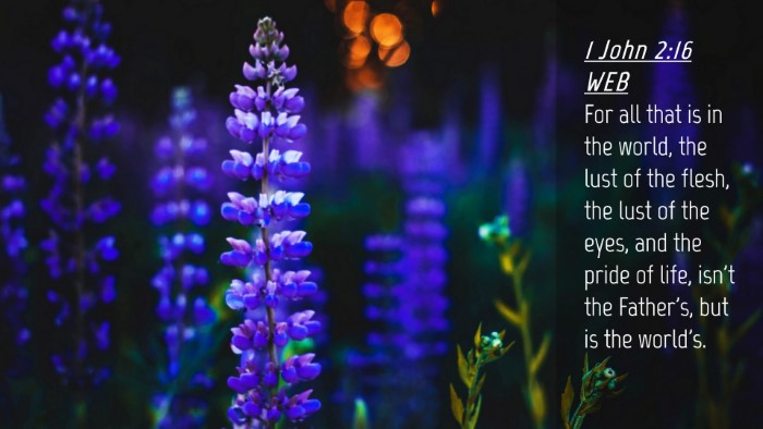 Picture 04 - 1 John 2:16 WEB Desktop Wallpaper - For all that is in the world, the lust of the - Desktop Bible Verse Wallpaper