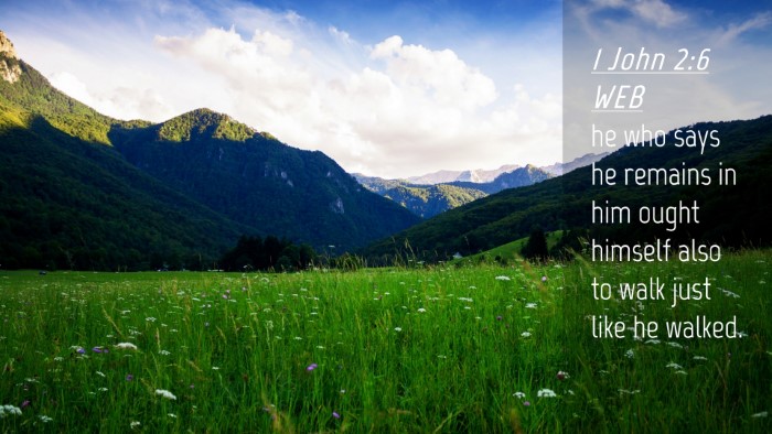 Picture 04 - 1 John 2:6 WEB Desktop Wallpaper - he who says he remains in him ought himself also - Desktop Bible Verse Wallpaper