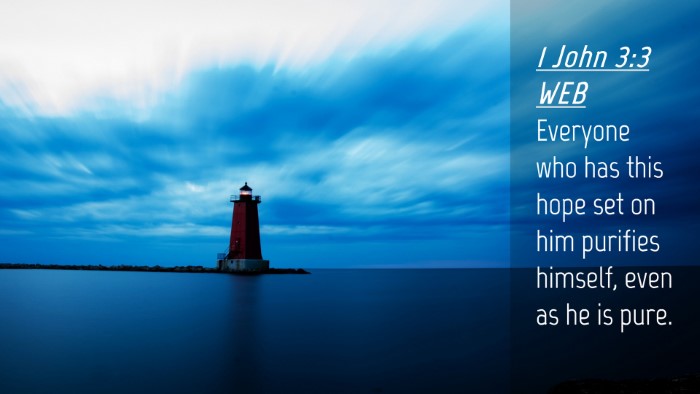 Picture 04 - 1 John 3:3 WEB Desktop Wallpaper - Everyone who has this hope set on him purifies - Desktop Bible Verse Wallpaper