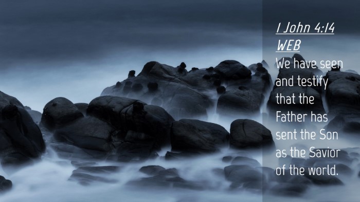 Picture 04 - 1 John 4:14 WEB Desktop Wallpaper - We have seen and testify that the Father has sent - Desktop Bible Verse Wallpaper