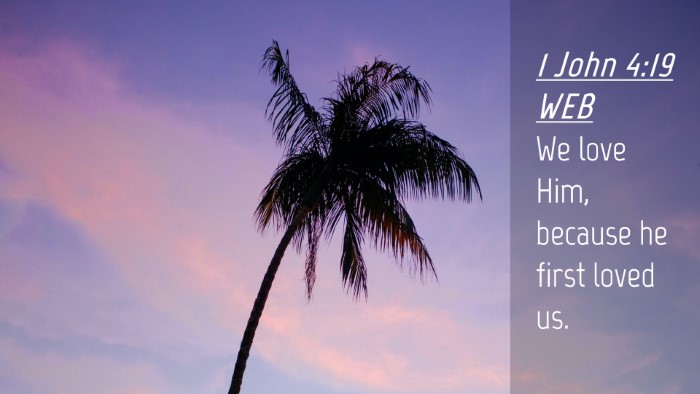 Picture 04 - 1 John 4:19 WEB Desktop Wallpaper - We love Him, because he first loved - Desktop Bible Verse Wallpaper
