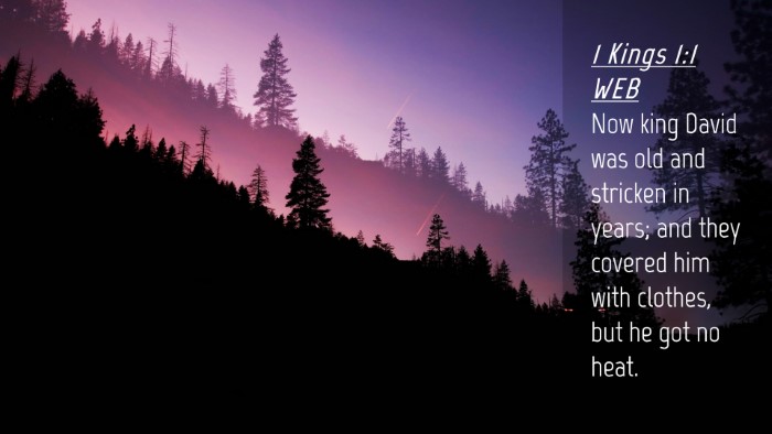 Picture 04 - 1 Kings 1:1 WEB Desktop Wallpaper - Now king David was old and stricken in years; and - Desktop Bible Verse Wallpaper