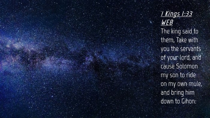 Picture 04 - 1 Kings 1:33 WEB Desktop Wallpaper - The king said to them, Take with you the servants - Desktop Bible Verse Wallpaper
