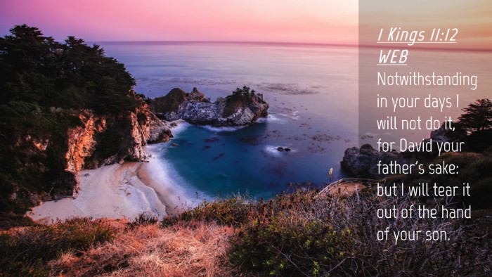 Picture 04 - 1 Kings 11:12 WEB Desktop Wallpaper - Notwithstanding in your days I will not do it, - Desktop Bible Verse Wallpaper