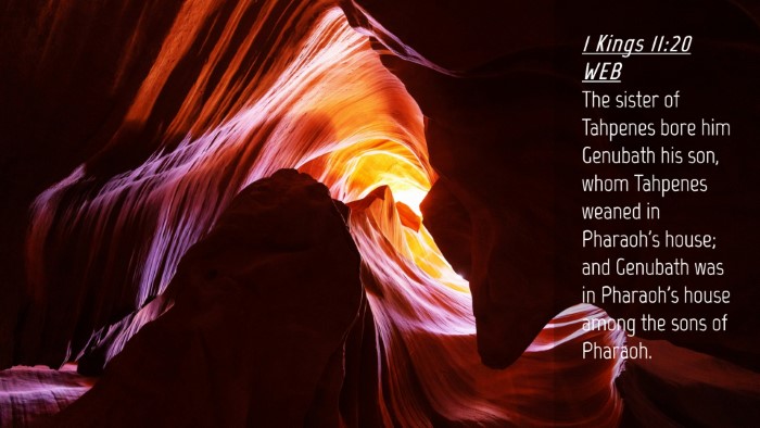 Picture 04 - 1 Kings 11:20 WEB Desktop Wallpaper - The sister of Tahpenes bore him Genubath his son, - Desktop Bible Verse Wallpaper