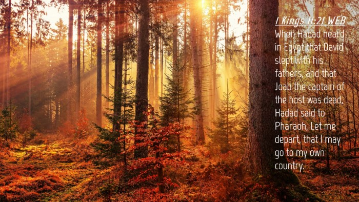 Picture 04 - 1 Kings 11:21 WEB Desktop Wallpaper - When Hadad heard in Egypt that David slept with - Desktop Bible Verse Wallpaper