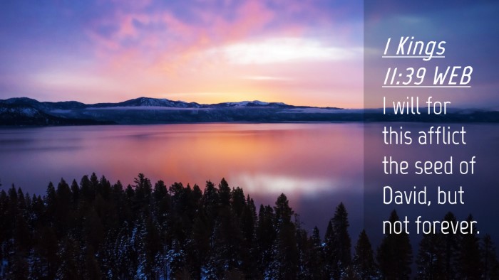 Picture 04 - 1 Kings 11:39 WEB Desktop Wallpaper - I will for this afflict the seed of David, but - Desktop Bible Verse Wallpaper