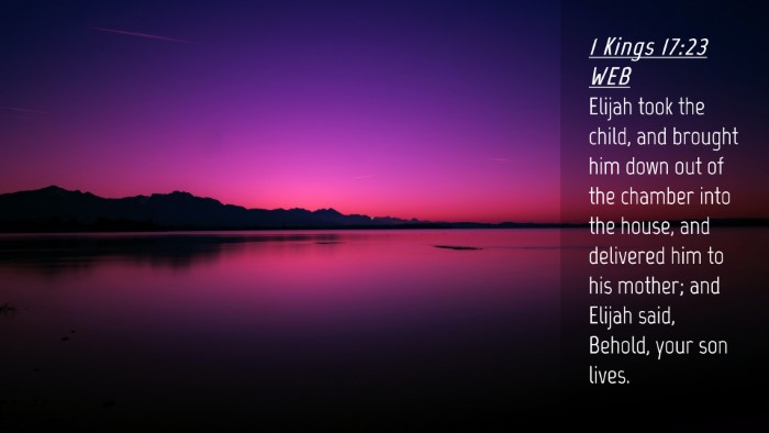 Picture 04 - 1 Kings 17:23 WEB Desktop Wallpaper - Elijah took the child, and brought him down out - Desktop Bible Verse Wallpaper