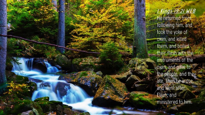 Picture 04 - 1 Kings 19:21 WEB Desktop Wallpaper - He returned from following him, and took the yoke - Desktop Bible Verse Wallpaper