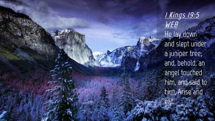 Picture 04 - 1 Kings 19:5 WEB Desktop Wallpaper - He lay down and slept under a juniper tree; and, - Desktop Bible Verse Wallpaper