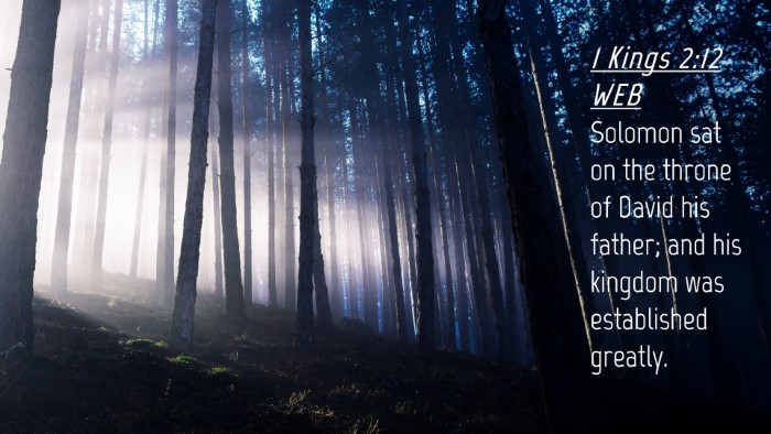 Picture 04 - 1 Kings 2:12 WEB Desktop Wallpaper - Solomon sat on the throne of David his father; - Desktop Bible Verse Wallpaper