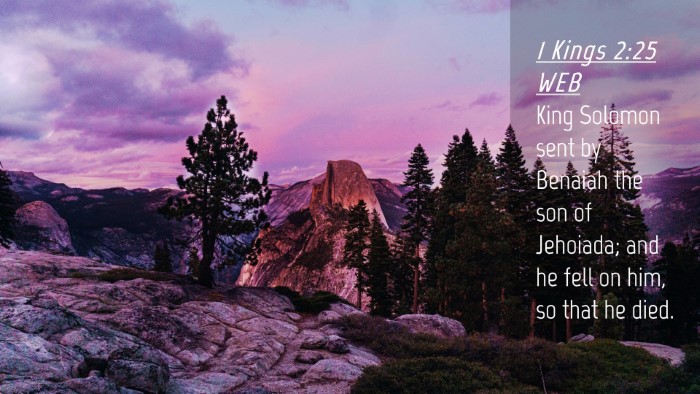 Picture 04 - 1 Kings 2:25 WEB Desktop Wallpaper - King Solomon sent by Benaiah the son of Jehoiada; - Desktop Bible Verse Wallpaper