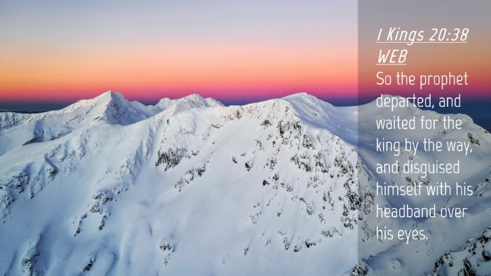 Picture 04 - 1 Kings 20:38 WEB Desktop Wallpaper - So the prophet departed, and waited for the king - Desktop Bible Verse Wallpaper
