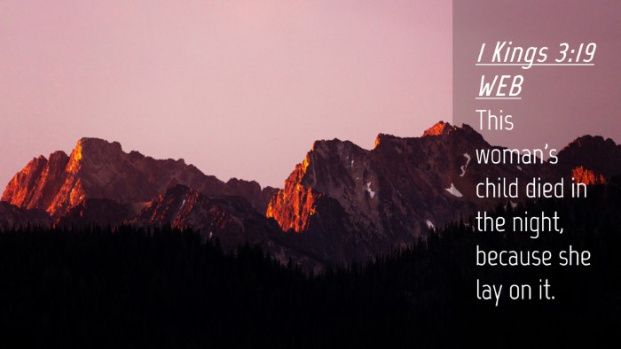 Picture 04 - 1 Kings 3:19 WEB Desktop Wallpaper - This woman's child died in the night, because she - Desktop Bible Verse Wallpaper